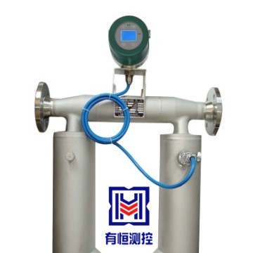 紙漿礦漿泥漿高精度科里奧利質量流
