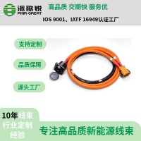 新能源汽車(chē)高壓線(xiàn)束  汽車(chē)快充線(xiàn)束