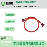 汽車(chē)電池連接線(xiàn)束  電機(jī)電控高壓線(xiàn)束 支持定制