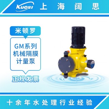 LMI米頓羅計量泵GM0025機械隔膜計量